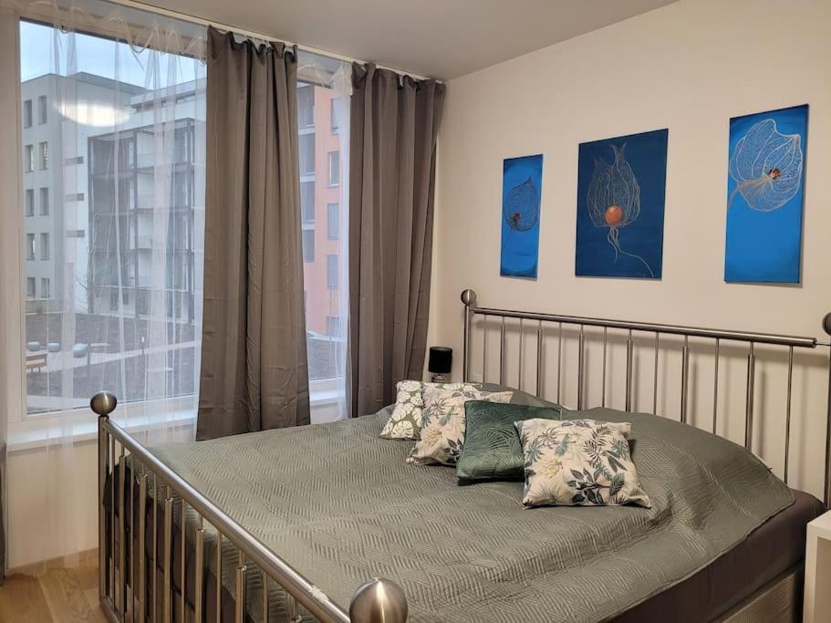 Apartment Terrace And Free Parking